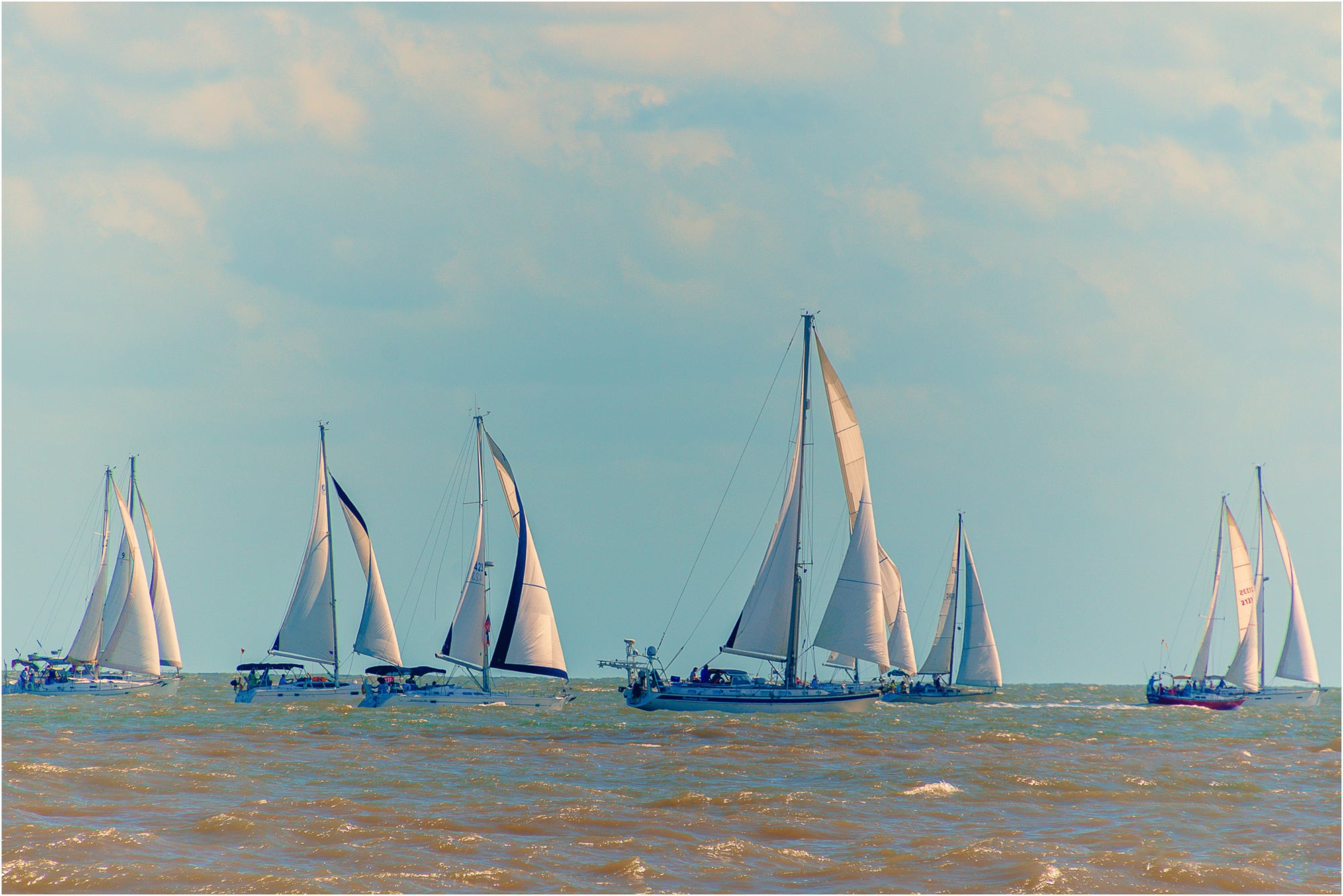 sailboats galveston tx